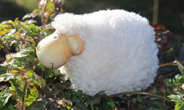 2023年生肖羊的综合运势较为出彩，成为最具吉利之兆的生肖之一