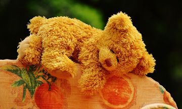 2023年，双倍喜事缠身的生肖是哪些？这些生肖会迎来怎样的幸福大事呢？