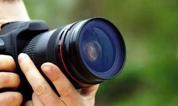 2023年11月黄历择吉：适合属狗人登记领证的黄道吉日日历