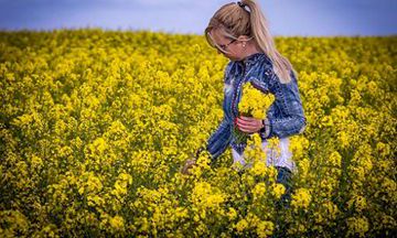 探究2023年五大幸运生肖，顺顺利利渡过每一件事情