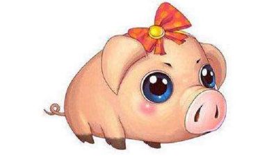 在2019年作为属猪本命年，佩戴猪生肖饰品是否有利于猪年的幸运和成功？