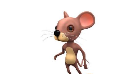 2020属鼠本命年运势：探究鼠年本命年整个运程的长期影响和短期趋势如何？