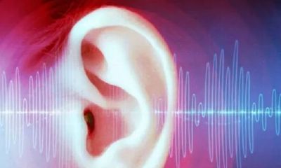 打喷嚏和出现右耳耳鸣：究竟是一种好的自然反应还是不良症状？