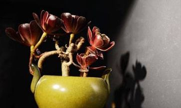 在女儿出嫁的过程中，有哪些规矩需要遵守？同时，作为女儿的娘家，需要准备哪些陪嫁物品呢？