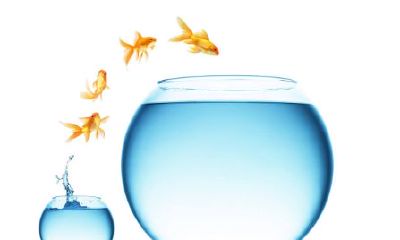 哪个方向最适合放置2020年鱼缸？探讨最佳鱼缸摆放位置的建议