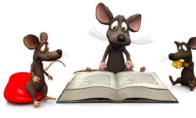 如何应对2020年属鼠48岁本命年并掌握1972年属鼠的运势？