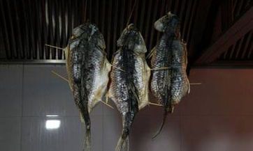 如果你是属猪，你认为2023年农历二月的哪一天适合领证呢？最佳登记日子是什么？