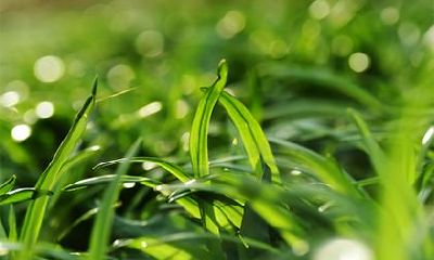 推荐2021年农历七月二十一日出生的女宝宝五行缺木水，如此重要的细节需要注意，敬请推荐可爱又好听的名字！