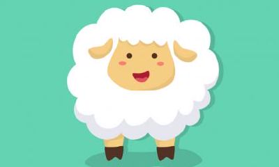 如何让属羊男生彻底迷醉，忠诚无比的全方位指南