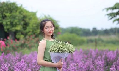 2023年属相及运程预测：全面深入的属相运势报告，详解全年吉凶变化！