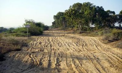 2019年4月23日诞生的双胞胎女婴，建议起名指南，探讨其五行属性