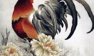 探究生肖鸡人一生运势的奥妙与玄机