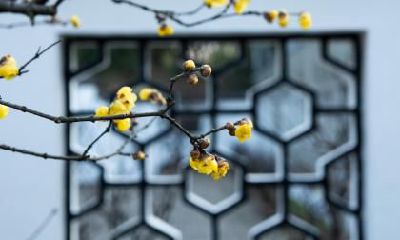 立春节气出生的男孩：探析2023年2月4日命理特征与命运走向