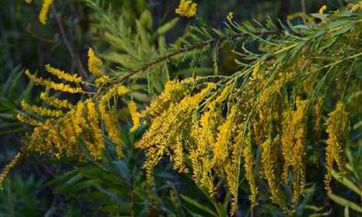 2023年2月，倒春寒事件是否将频繁发生？