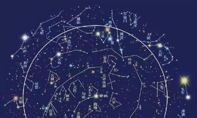 哪些紫薇命盘的个体透露出领袖魅力的特质？