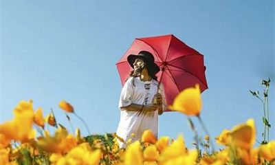 属虎人2023年：细致分析全年运势和运程，助你在繁忙中迎接挑战和机遇的到来