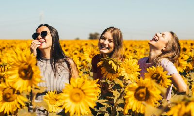 来看看属牛人2022年的运势如何，是否转好运？需要注意哪些方面？