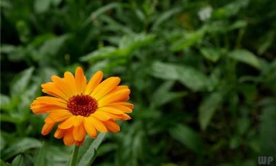 4个早期征兆，预示着个人具备了“财富缘起”的适应力，这将从根本上改变你的人生轨迹