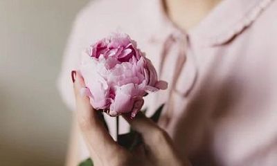 属虎2023年将迎来喜事不断，财运提升，学业进步，大好前景等待您！