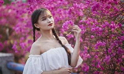 2021年，属虎的运气和财运如何？全面解析你的财运运势！