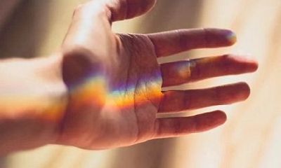 1970年出生的属狗人在每个月的运程中，52岁的他们的运势如何呢？