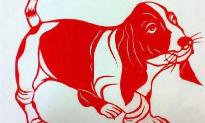 十二生肖之属狗的人：出生月份决定命运，拥有精明能干的品质，荣华富贵之路一生顺风顺水