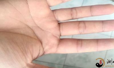 掌纹如何显示身体健康状况？掌纹上每一条线代表什么？让我们一次性详细解释！