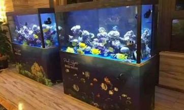 土命屋顶怎样佩戴红黄饰品？探究屋顶风水与颜色对佩戴饰品的影响