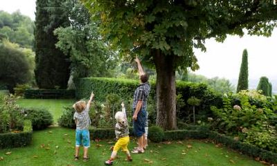 推荐：如何为2021年11月6日出生的男孩取一个具有美好寓意的名字？