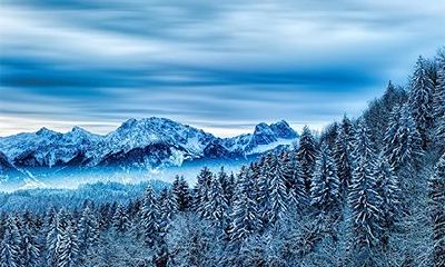 2023年正月二十九日，癸卯兔在安门地区的情况如何？