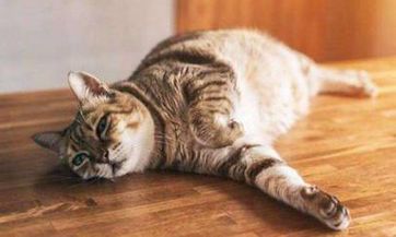 请问清明节是哪一天？清明节是什么意义？清明节的起源、传统文化和现代习俗解析