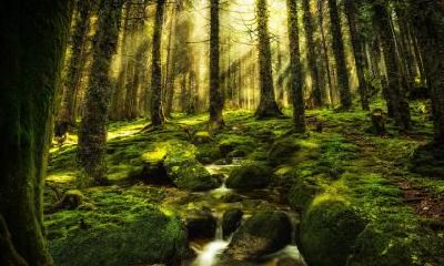 2021年小暑时节出生的男宝宝缺水取名指南，包含五行缺水的男孩名字推荐大全