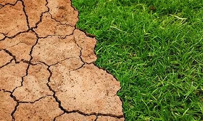 2021年农历八月初六出生的男孩，如何根据五行属性选择一个好听有内涵的名字？