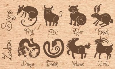 探讨十二生肖与属鼠人最配合的生肖——寻找属相为鼠者的完美配对方案