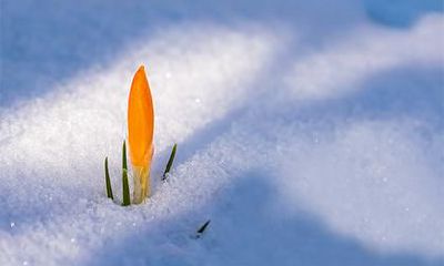 2021年农历八月初八婴儿男孩的五行属性分析和出众推荐的高分美名