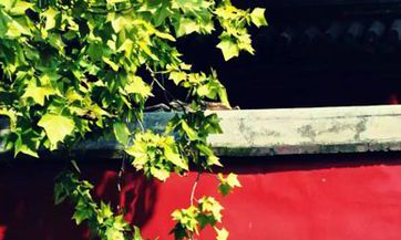 7776：一个吉祥富贵的手机号码靓号数组，你应该知道！