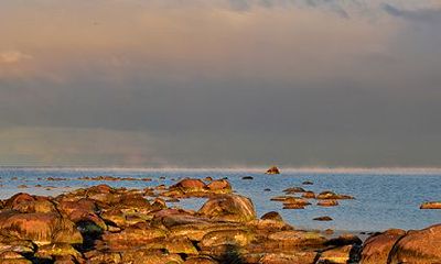 在十二生肖中，为什么鼠被称为子鼠，而在五行中，哪一种鼠命最为吉利？