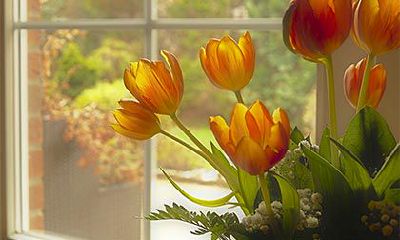 从1996年出生的鼠年人到2023年的婚姻，以属鼠人而言，何时结婚最为理想？