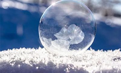 为什么生肖鼠在中国文化中备受瞩目且具有重要地位？探讨鼠类在中国文化中所具有的象征意义与深远影响