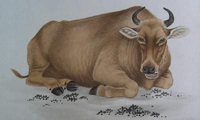 放下吧，让我来教你！掌握哪些生存技能是属相们的拿手好戏？你真正了解它们了吗？