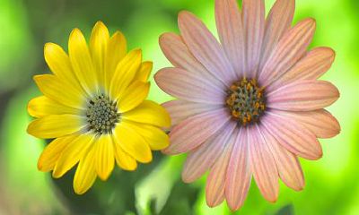 以2022年9月23日出生的宝宝为基准，根据虎年的五行特征推荐合适的五行名字选择方法