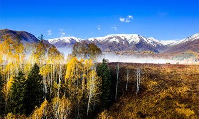 探究2023年农历二月初十的吉凶预测与祥瑞象征