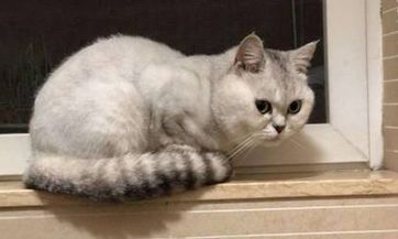 老旧房屋翻新建新房的最主要禁忌是什么？