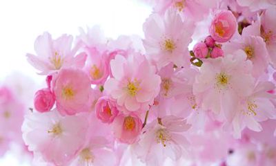 2022年10月29日诞生的小虎宝宝如何取名才能得满分？