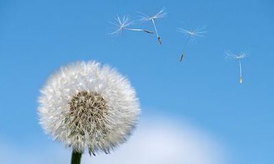 探究农历二月二十四日的宜忌与吉凶，详解2023年这一日期的祥瑞趋势