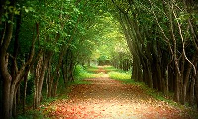 查询2023年农历二月二十七日黄历，该日期对于吉祥之事来说是否是一个适宜的吉日？