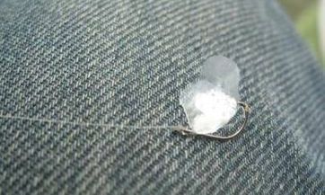 如何识别家中老鼠的明显征兆并采取措施让其自动远离的实用技巧