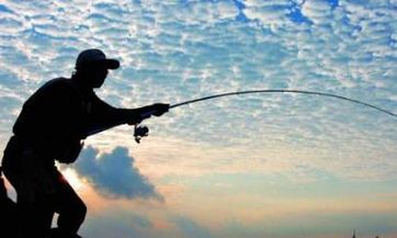 属牛的命运必须要依靠的贵人是谁？探究生肖牛三大重要的贵人