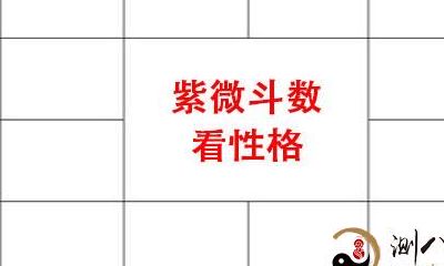 以紫微斗数为依托，学好此技能，性格解读准确度可达99%