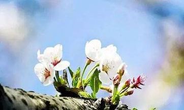 揭秘：手机号码所蕴含的能量磁场的不同，从生气磁场到旺贵人磁场，探索手机尾号的奥秘！